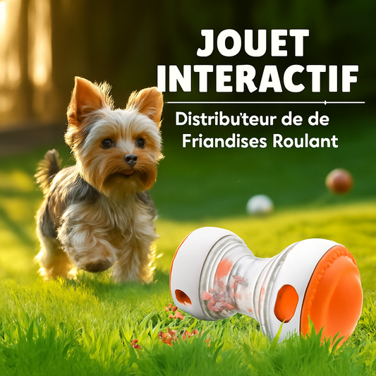PetsRoll Jouet Interactif pour Chien Indestructible – Balle Distributeur de Croquettes & Friandises – Jouet d’Occupation & d’Intelligenceement, Jouet d’Occupation & d’Intelligence, Idéal Petits et Moyens Chiens